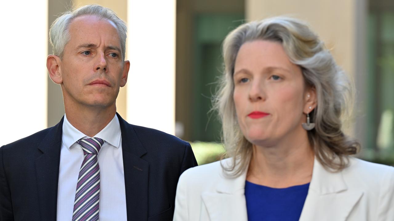 Andrew Giles and Clare O'Neil