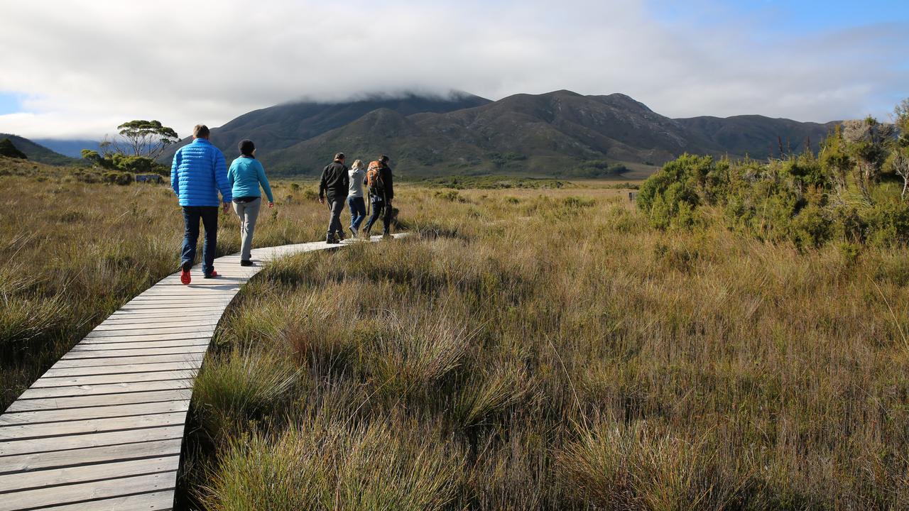 Melaleuca in Tasmania's Wilderness World Heritage Area