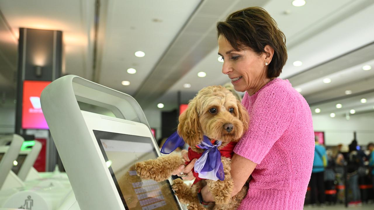 Former Virgin CEO Jayne Hrdlicka with a dog (file image)