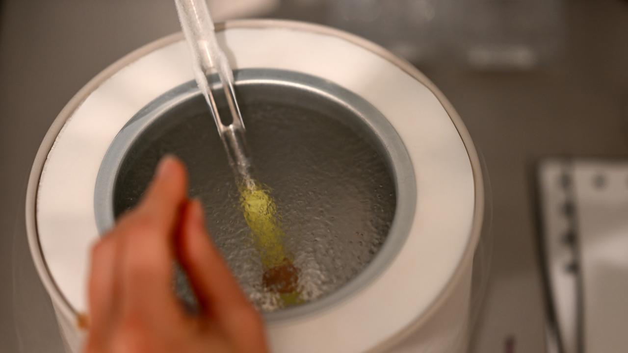 IV lab technicians at work