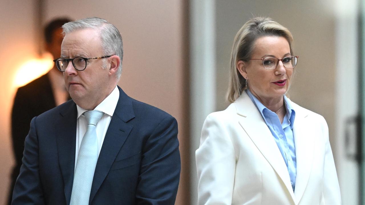 Anthony Albanese and Sussan Ley