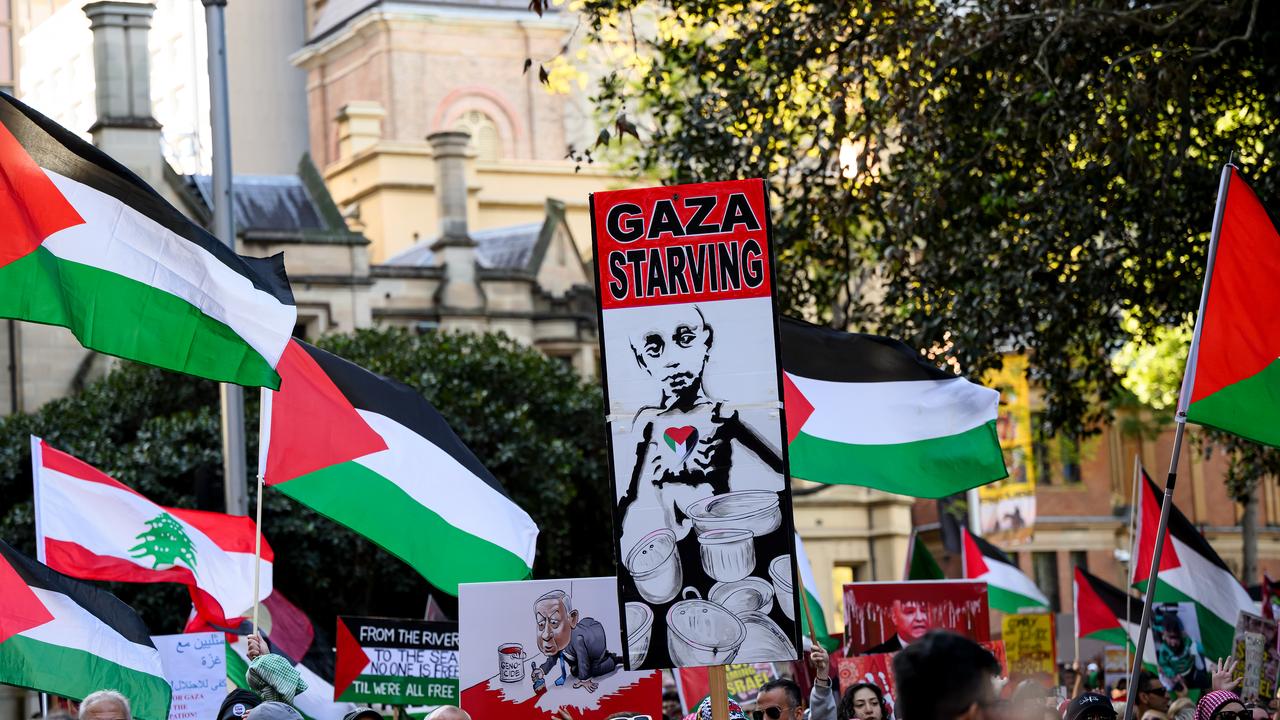 Pro-Palestinian protesters