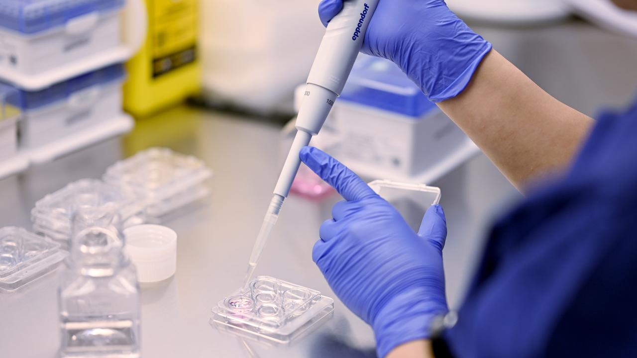 Laboratory technician at work at the Connect IVF Lab in Sydney