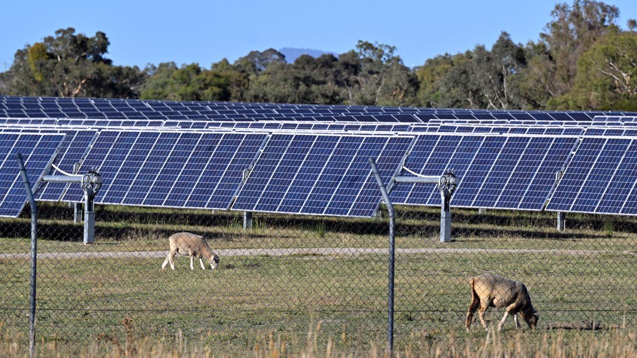 solar panels at the Williamdale Solar Farm