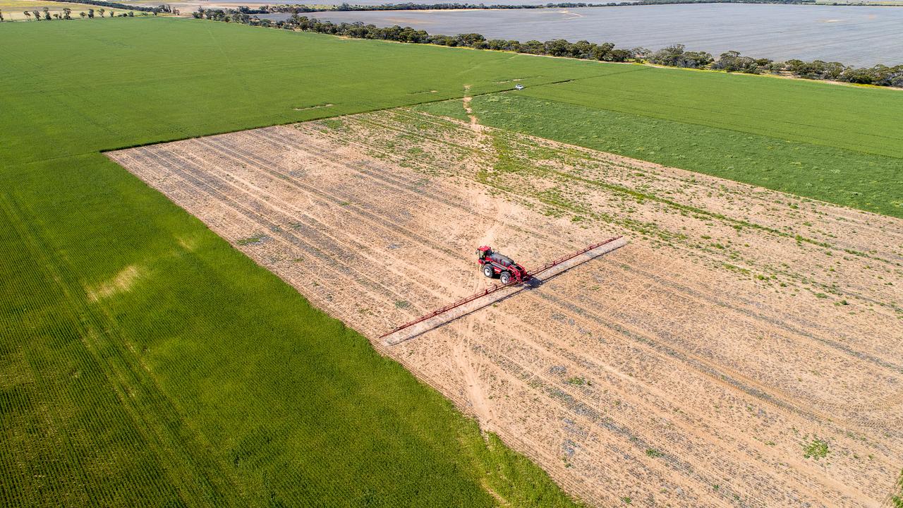 Farmer paddock