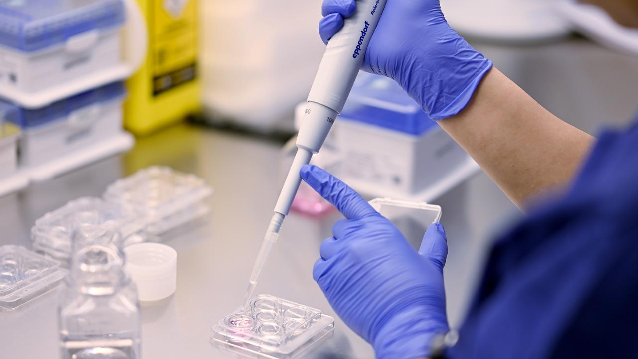 IVF STOCK