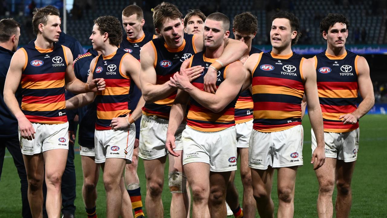 crows