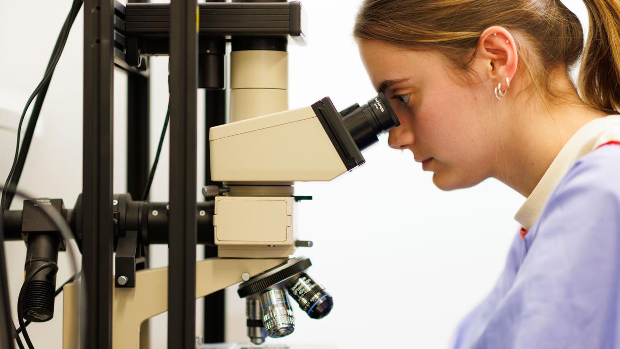 A researcher looks through a microscope