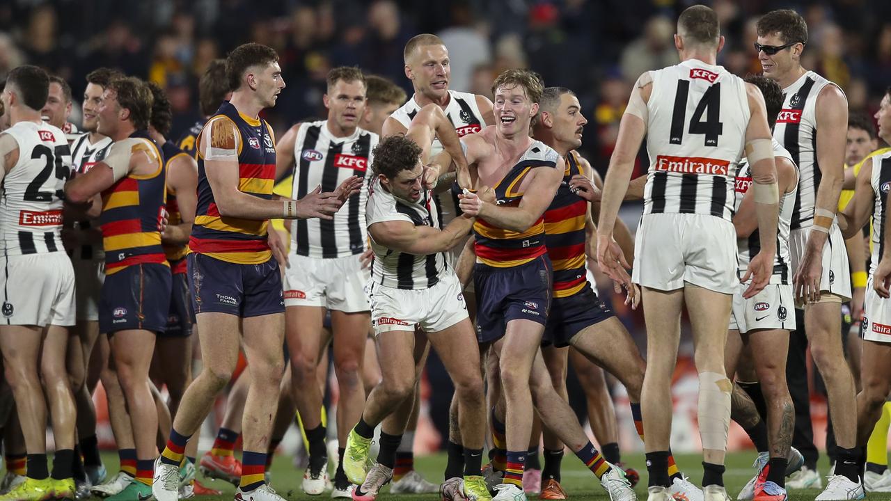 Magpies