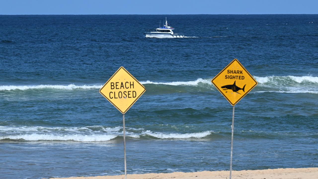 Shark Attack 