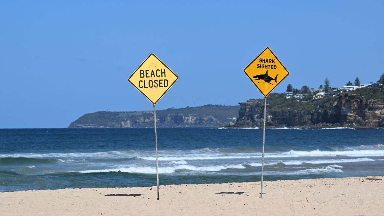 Fatal shark attack