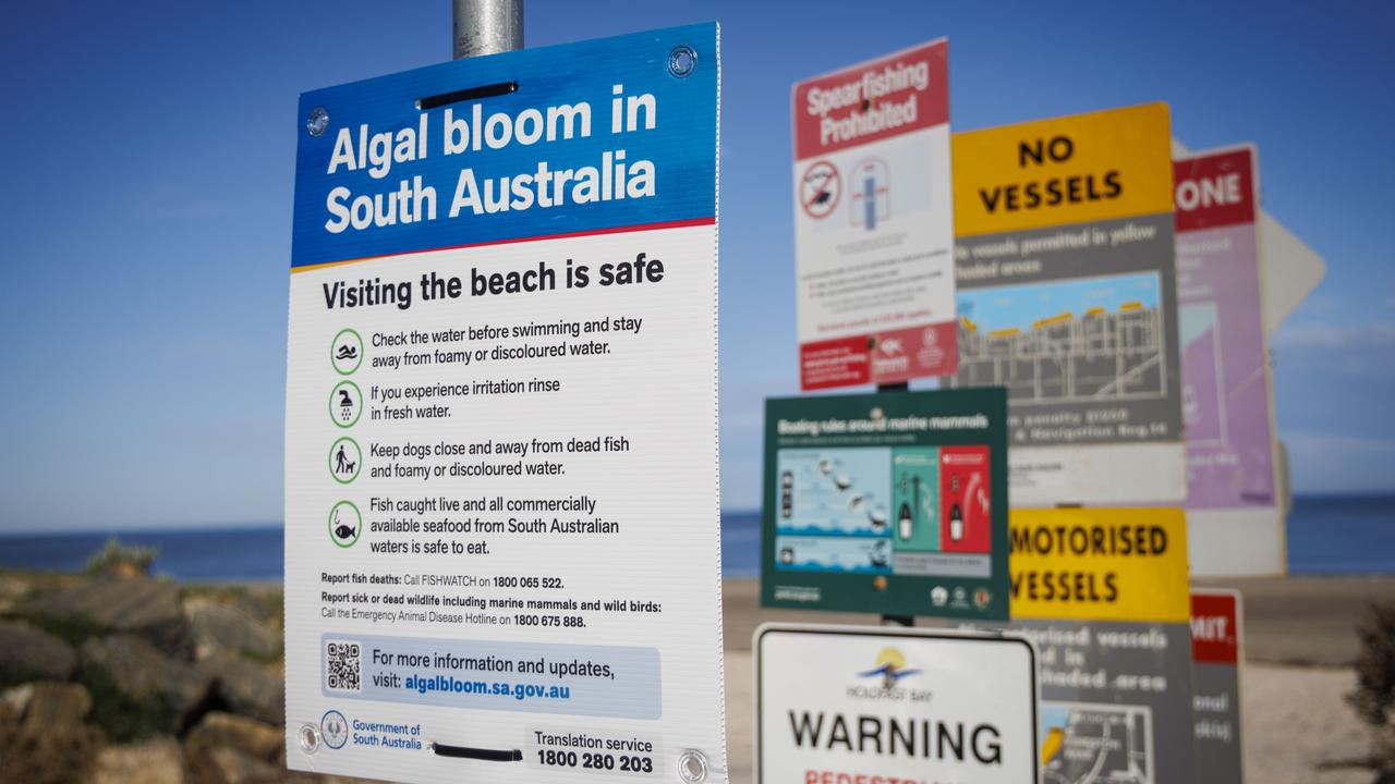ALGAL BLOOM INQUIRY