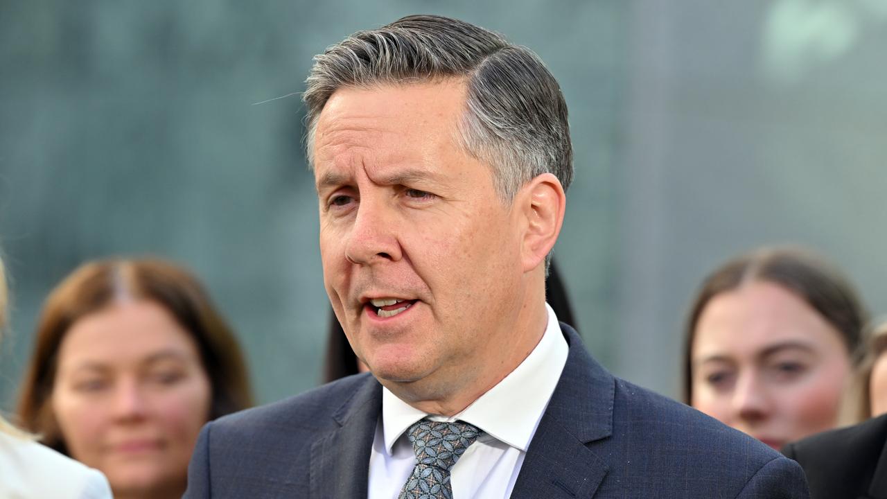 Health Minister Mark Butler (file image)
