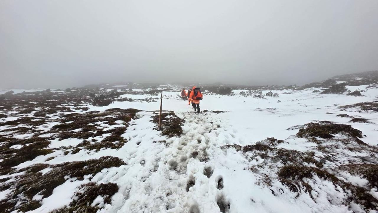 A file photo of searchers at Cradle Mountain 