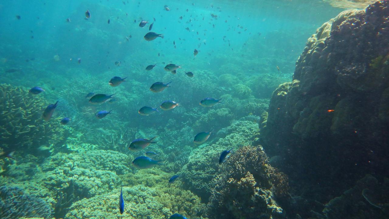 barrier reef