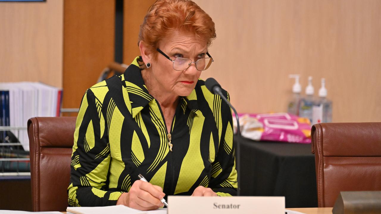 One Nation leader Pauline Hanson