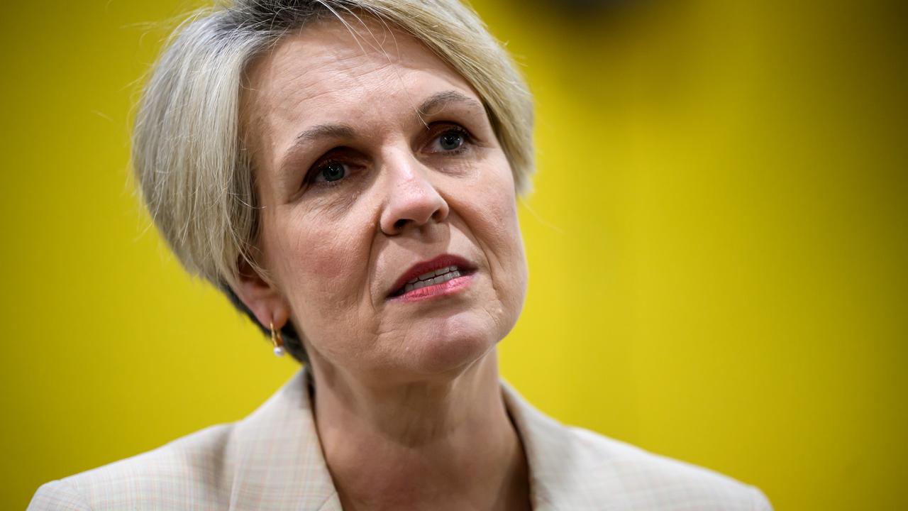 Social Services Minister Tanya Plibersek