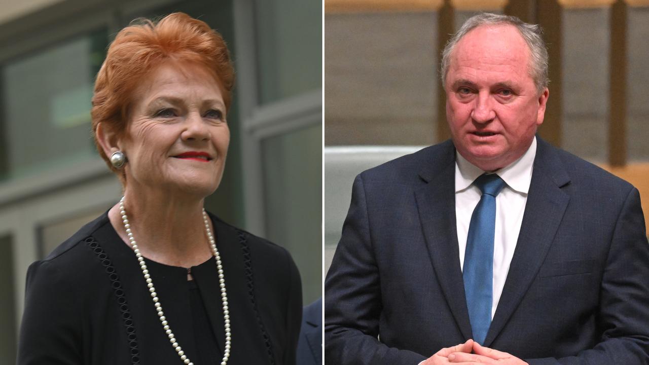 One Nation leader Pauline Hanson and Barnaby Joyce