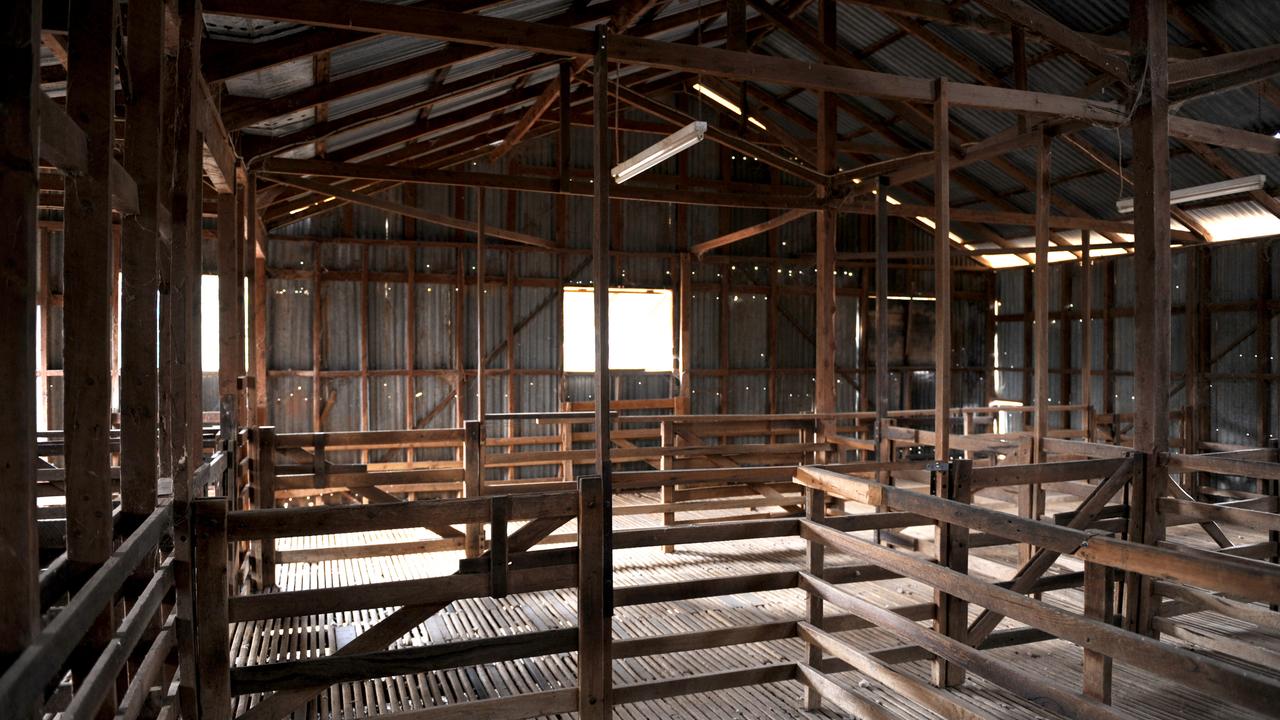 Shearing shed