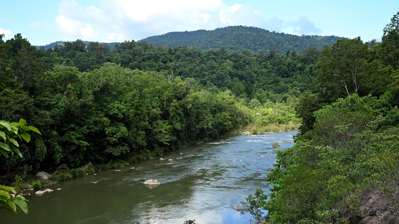 The Tully River, north Queensland