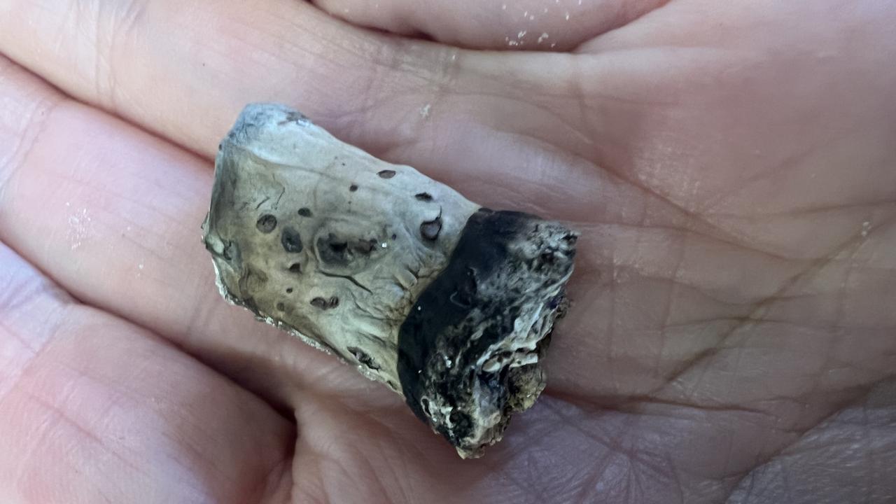 a soldier's letter in a bottle written to his mother