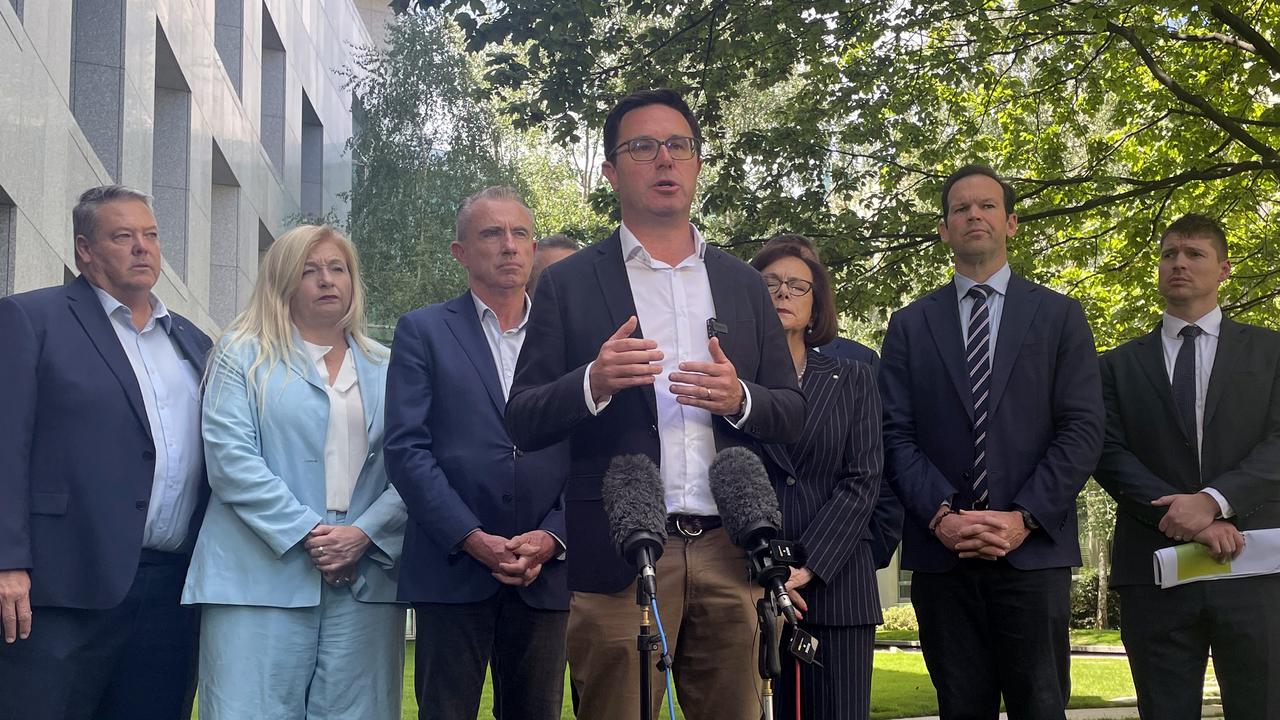 Nationals Leader David Littleproud