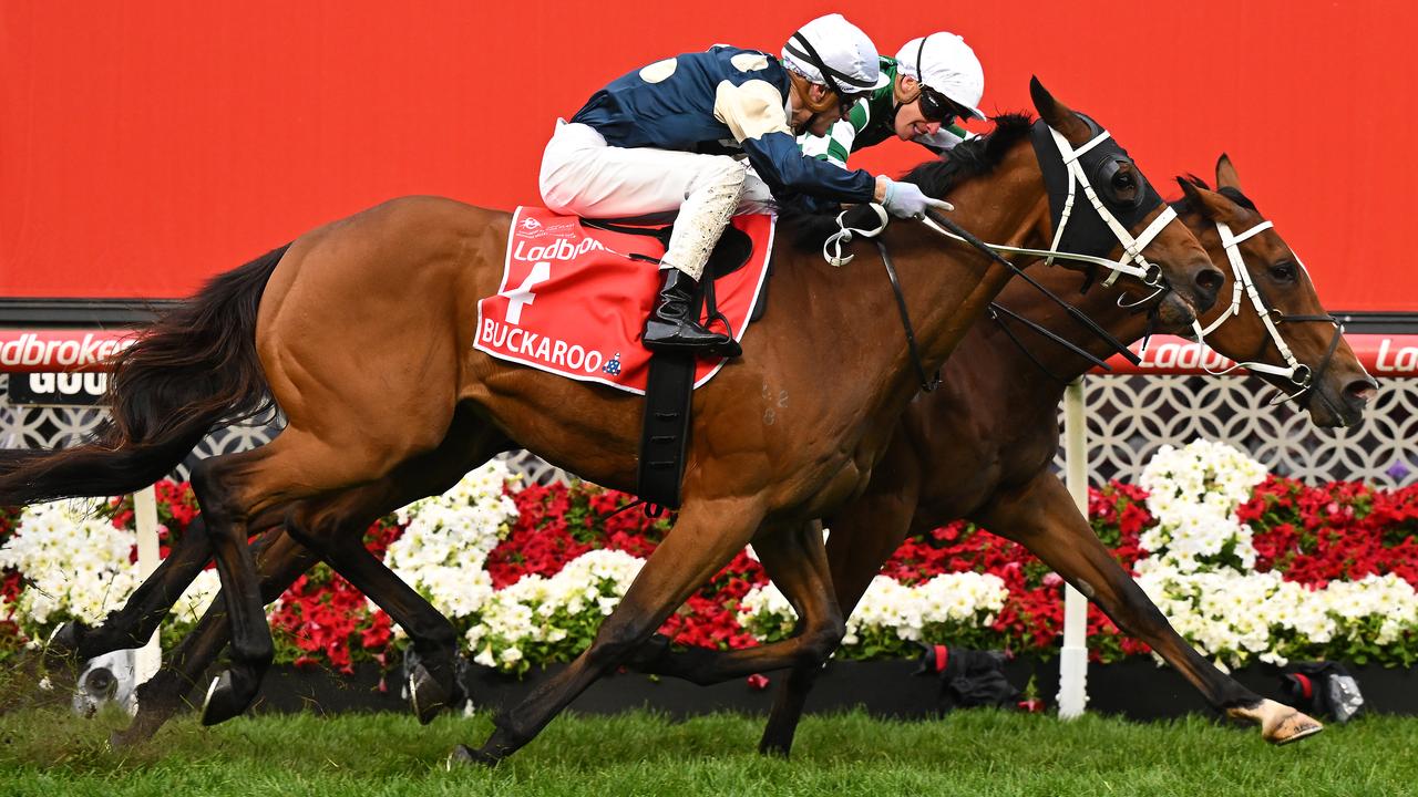 Via Sistina to a narrow victory over stablemate Buckaroo