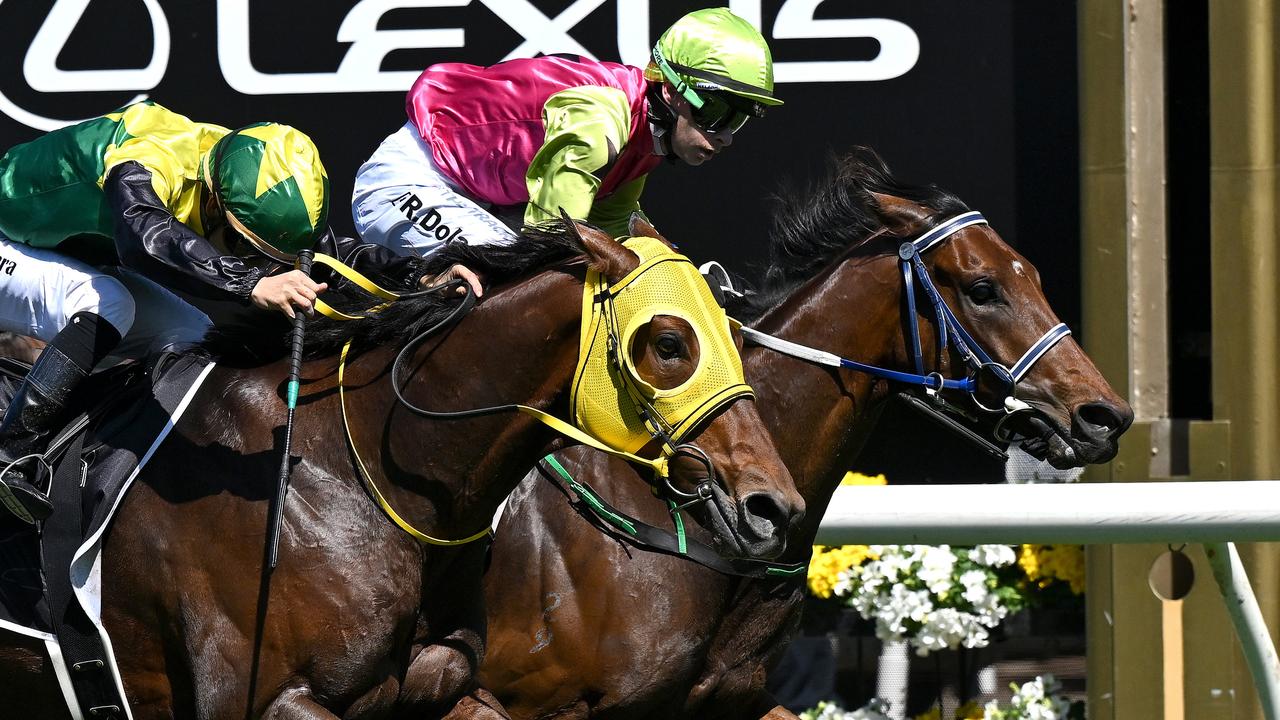 Dolan and Knight's Choice hit the line.