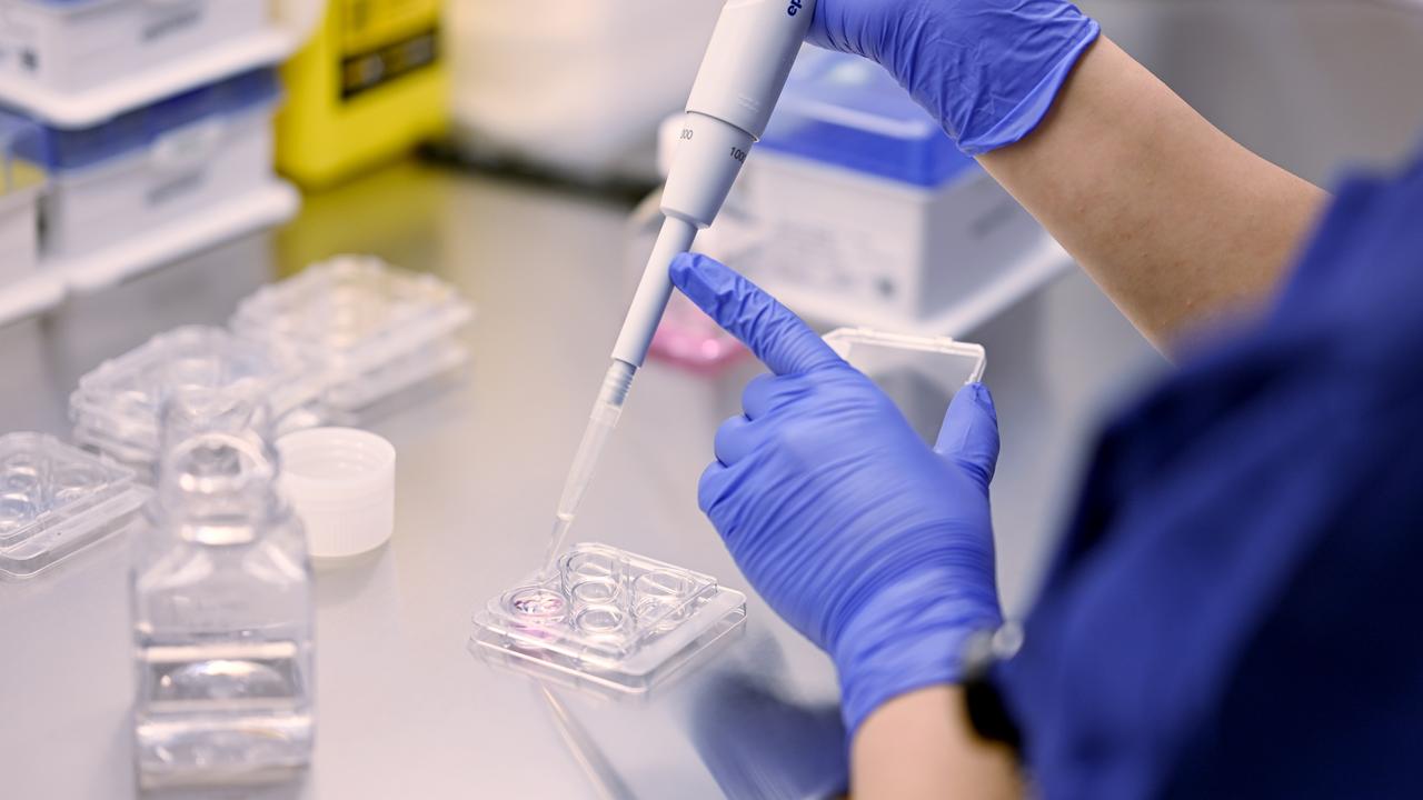 General image of a laboratory technician at work