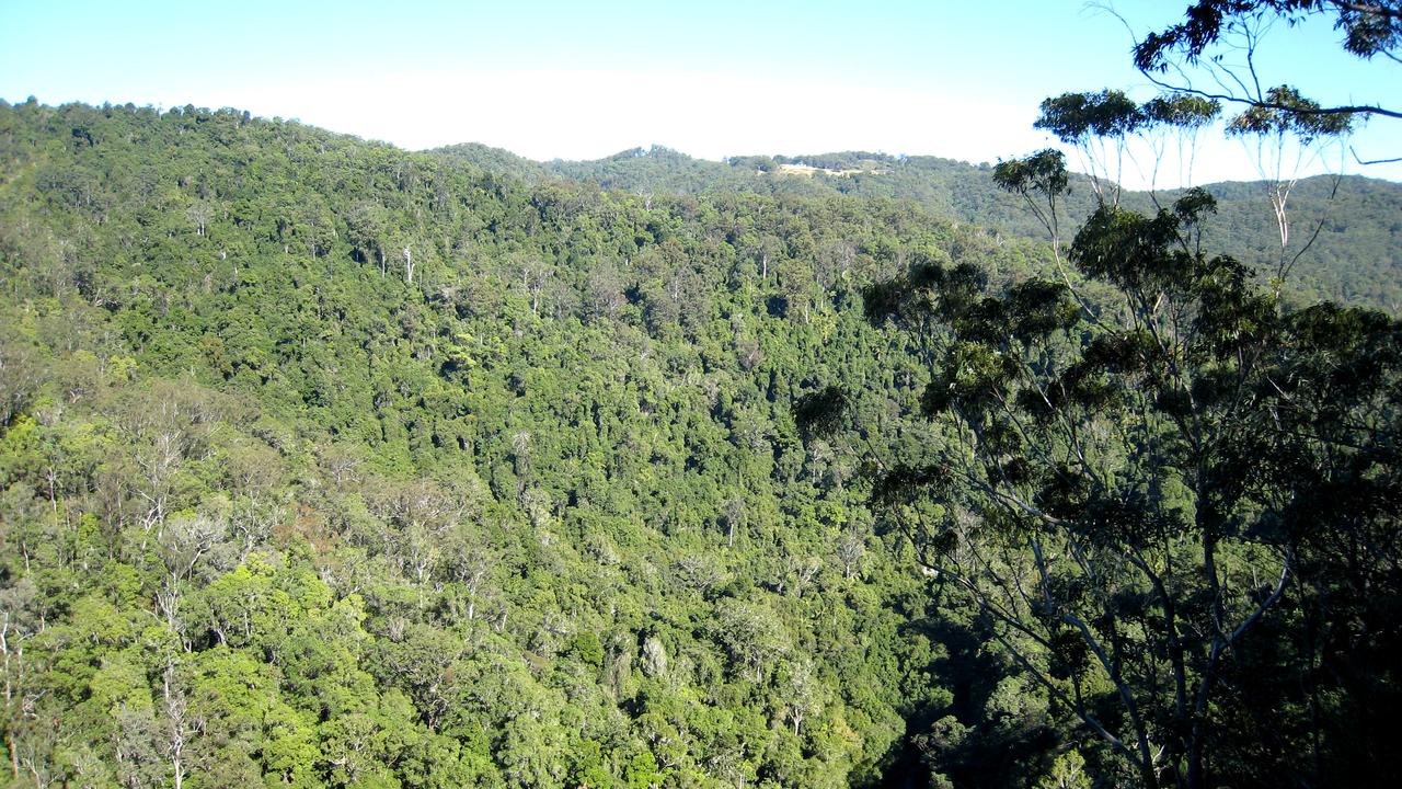 Sunshine Coast hinterland (file)