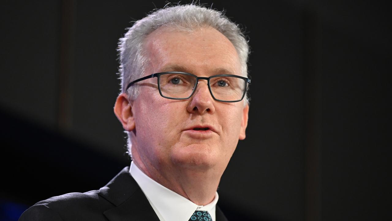 Home Affairs Minister Tony Burke