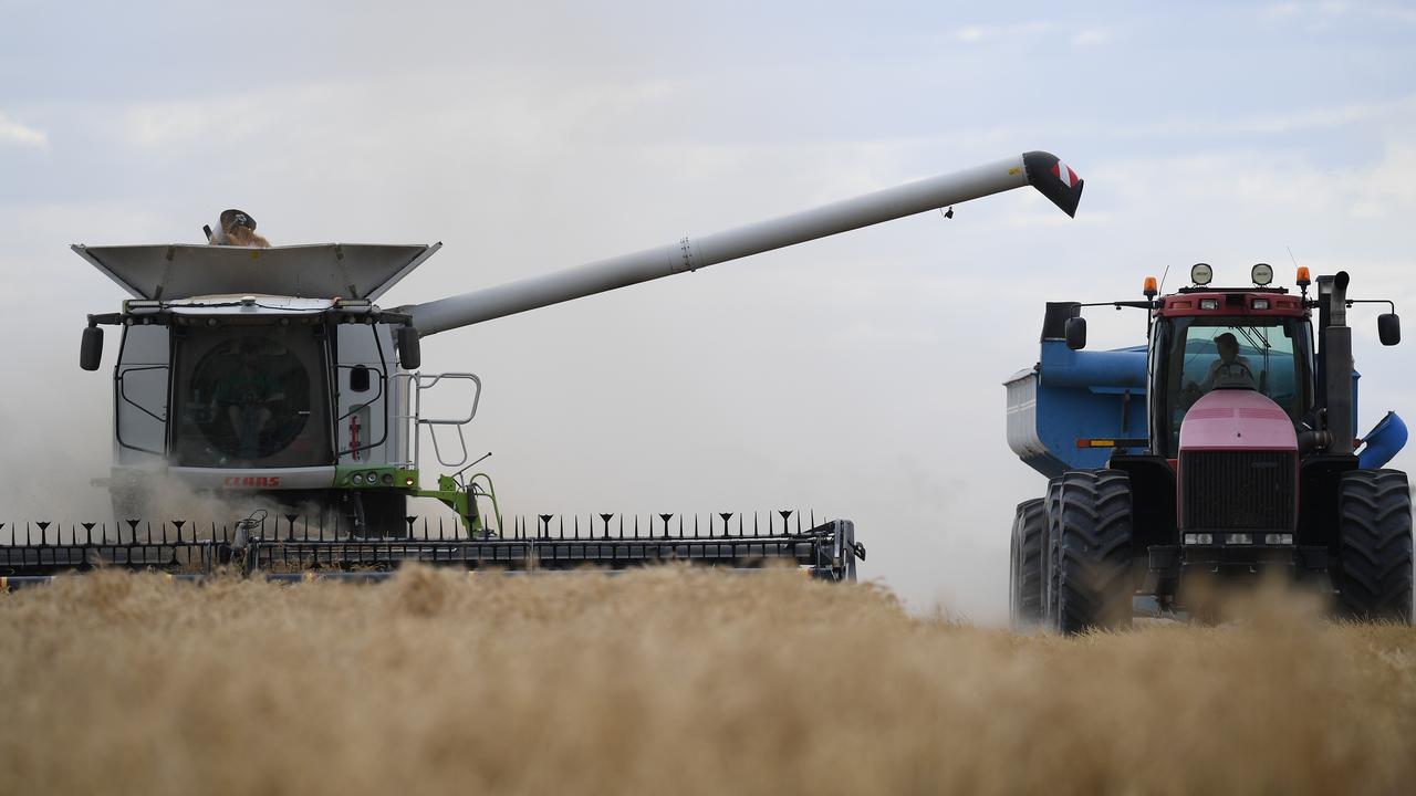 Wheat harvest near Moree, NSW