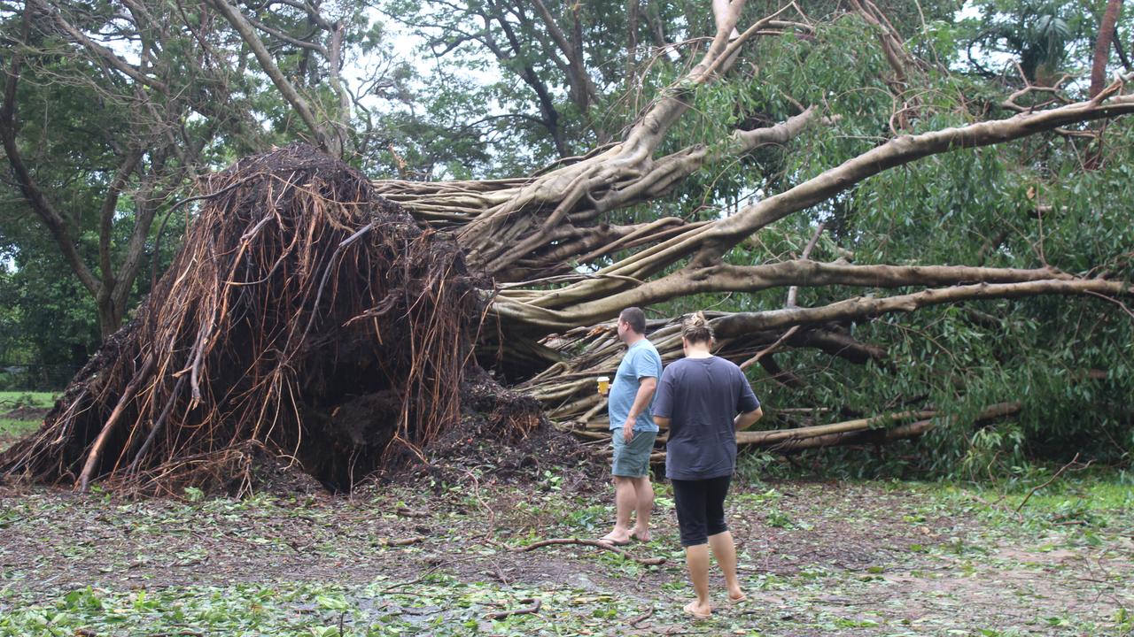 Tropical cyclone Fina uprooted trees across Darwin