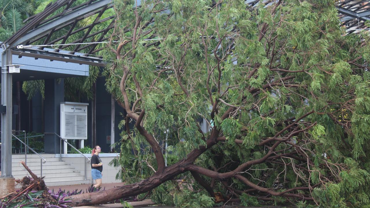 Tropical cyclone Fina felled trees across Darwin