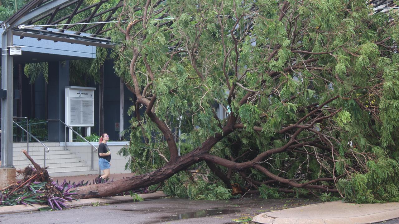 Tropical Cyclone Fina left trees felled all over Darwin