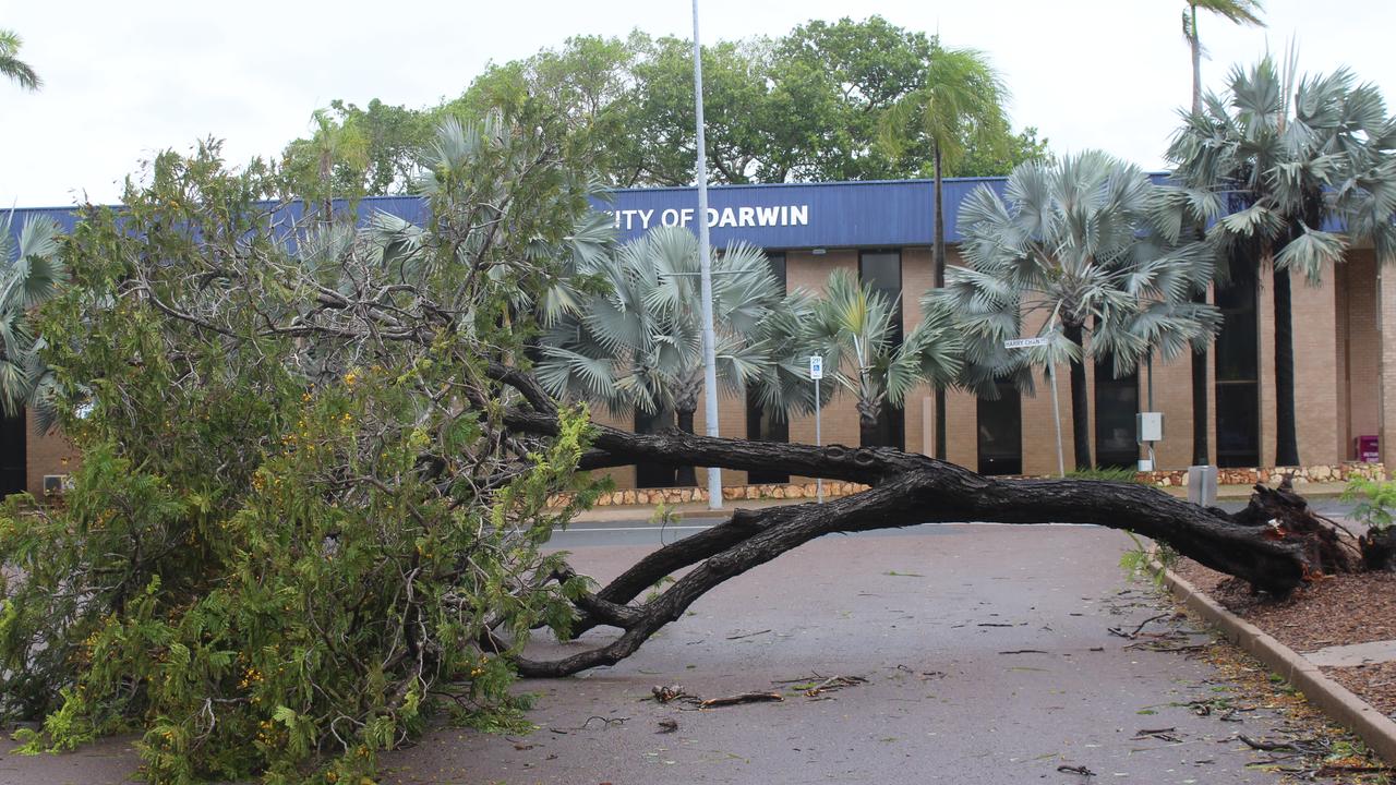 Tropical cyclone Fina left trees felled all over Darwin