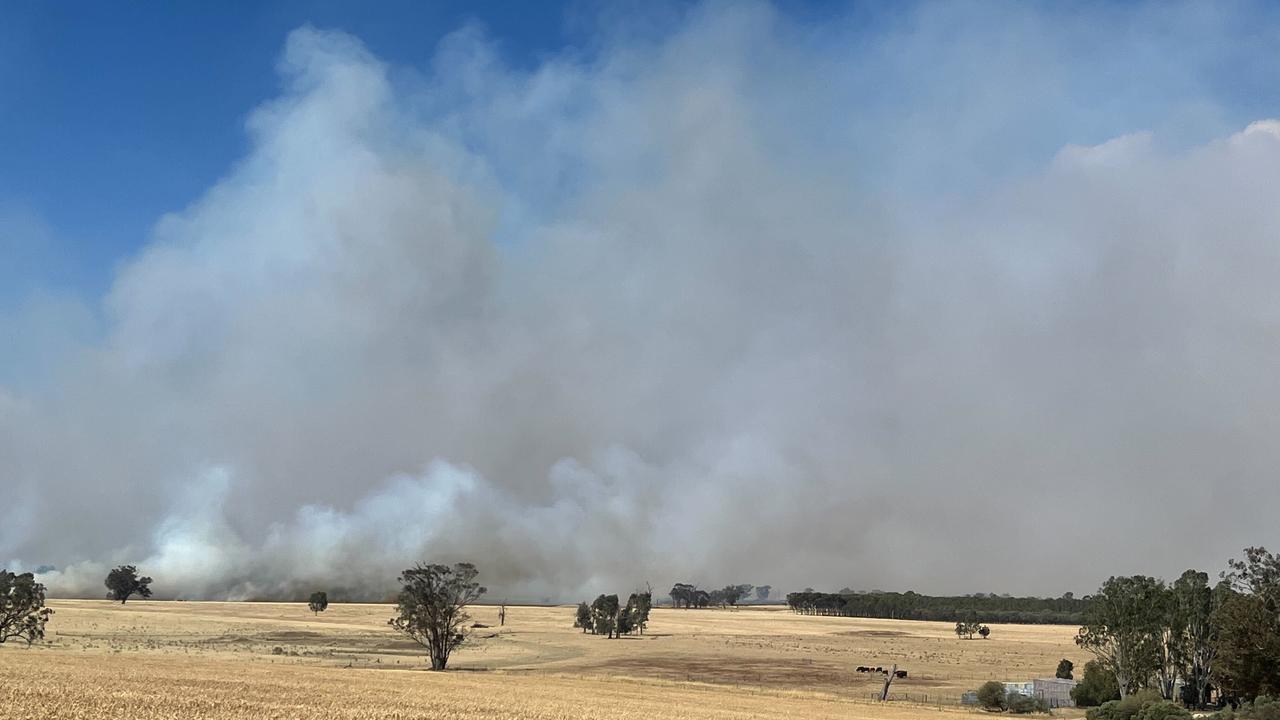 Grassfire in Corowa on the Victoria-NSW