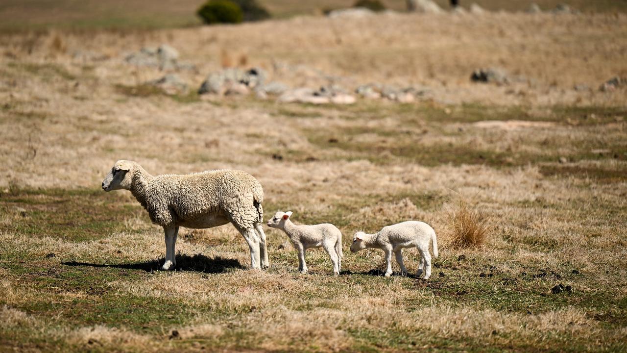 FARMER DROUGHT FEATURE
