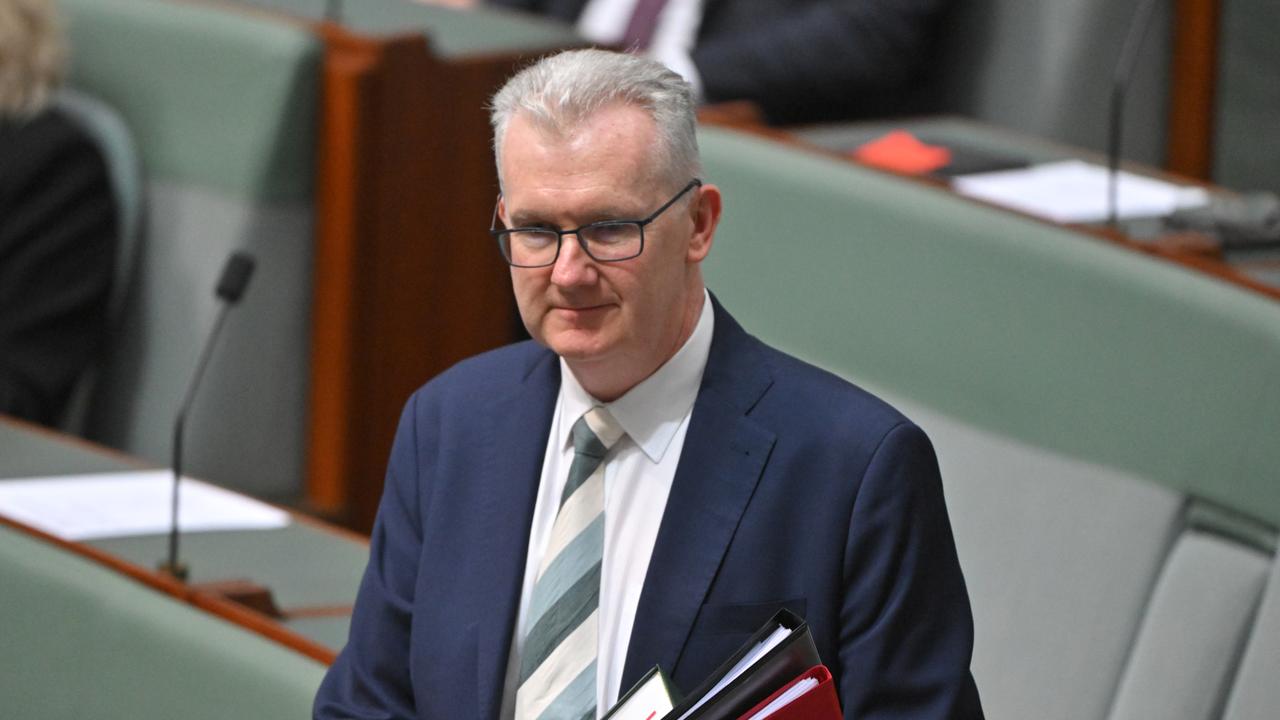 Home Affairs Minister Tony Burke