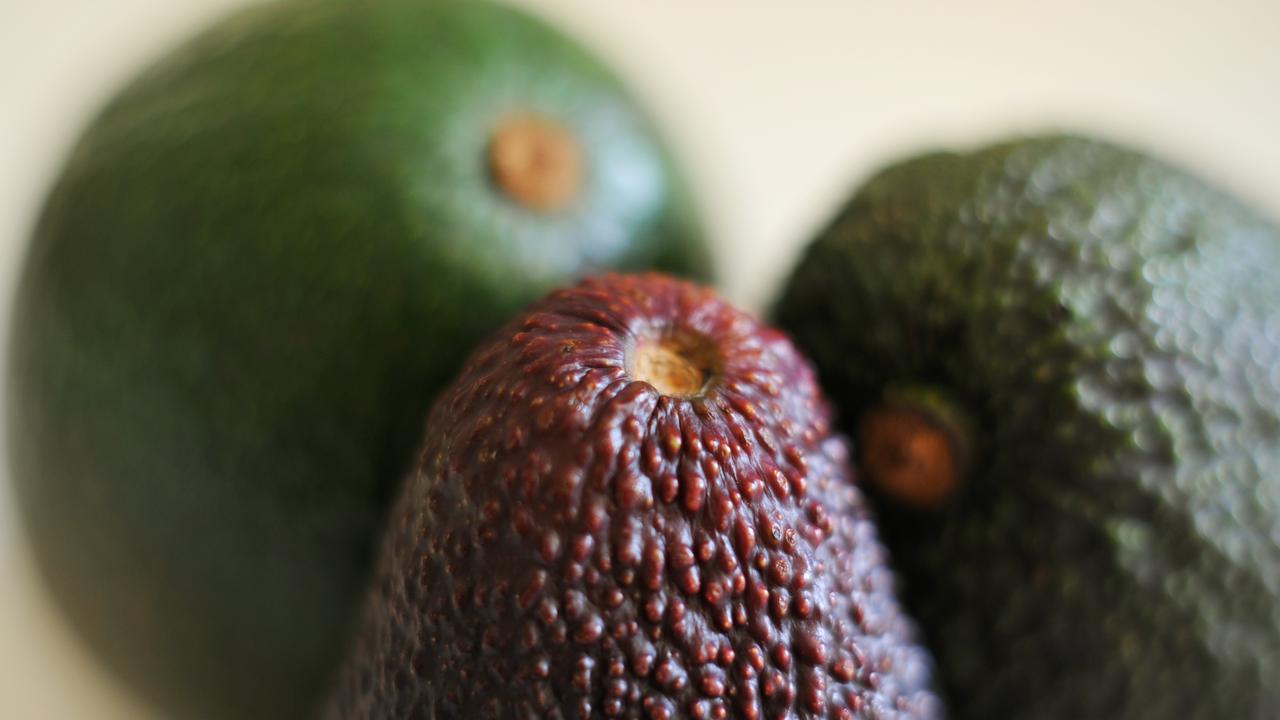 Avocados (file image)