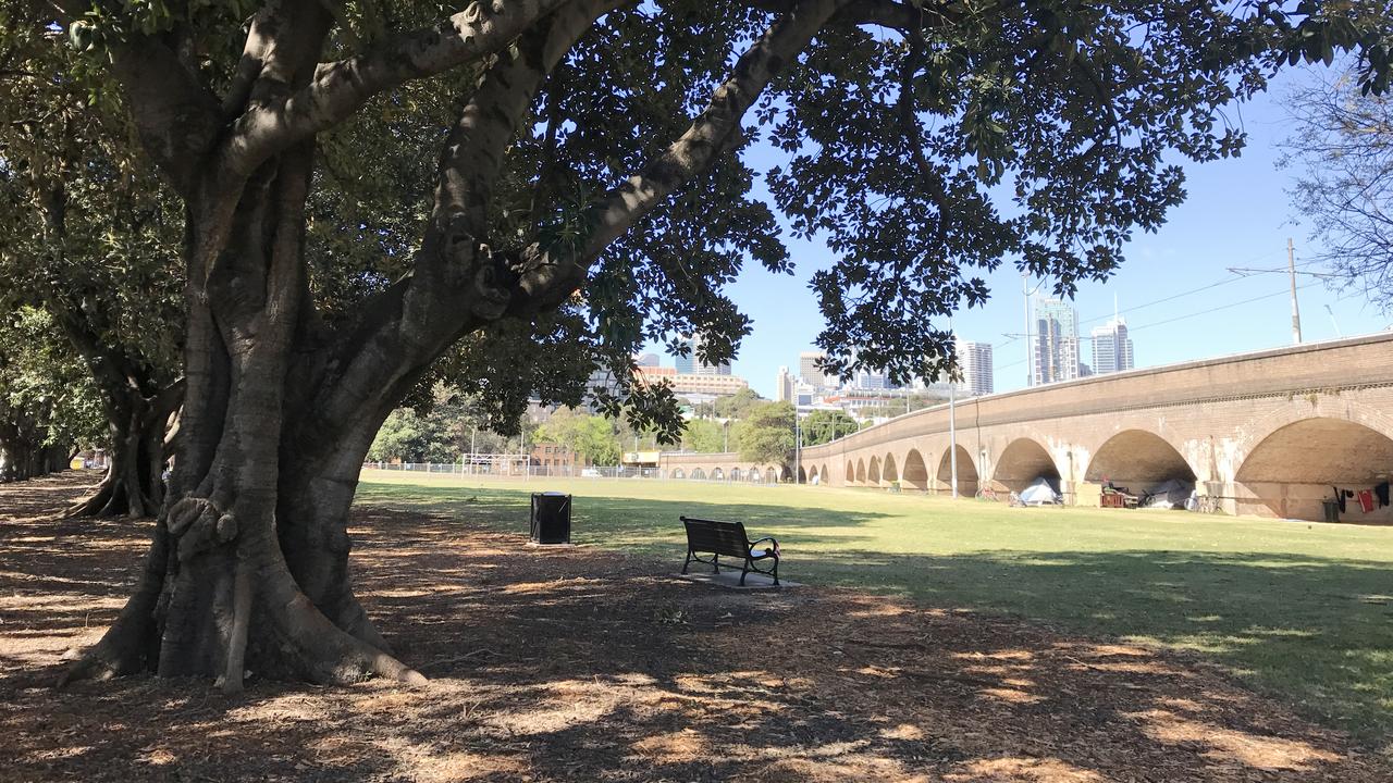 Wentworth Park in Glebe (file image)