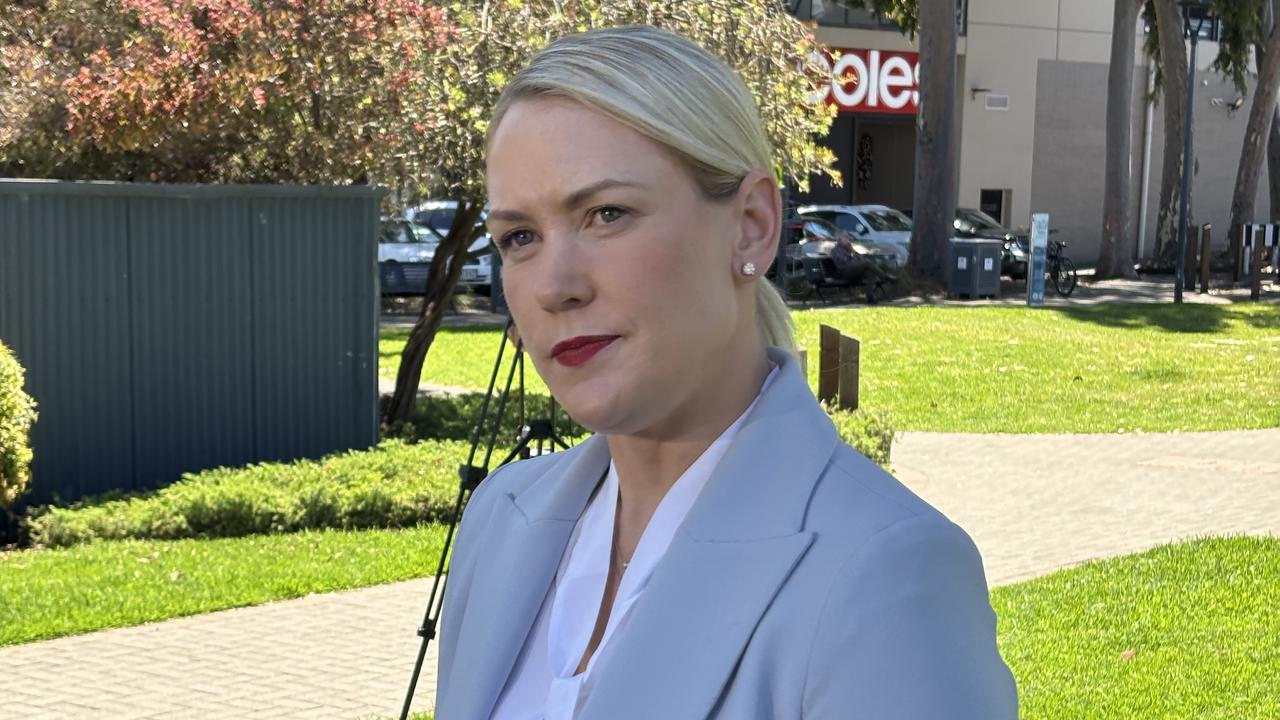 New SA Opposition Leader Ashton Hurn