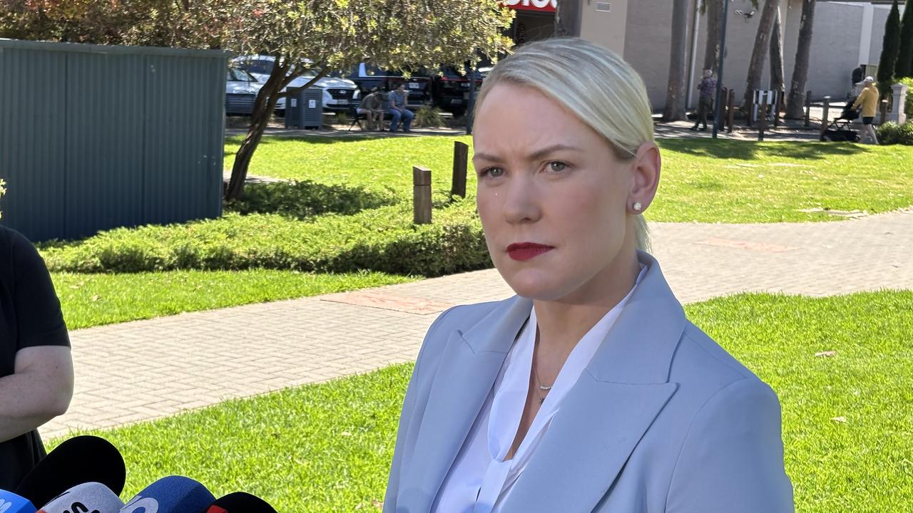 New SA Opposition Leader Ashton Hurn