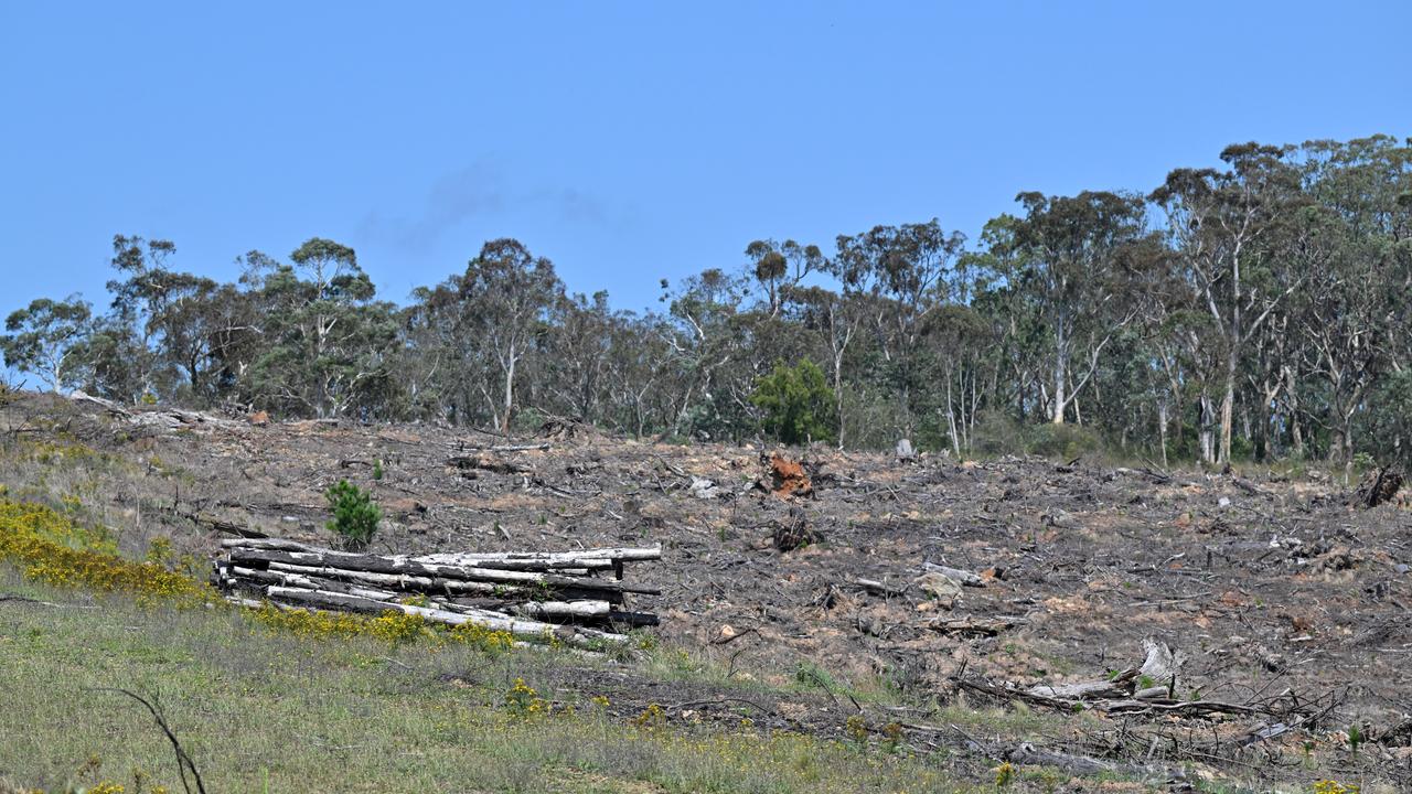 A general view of land clearing