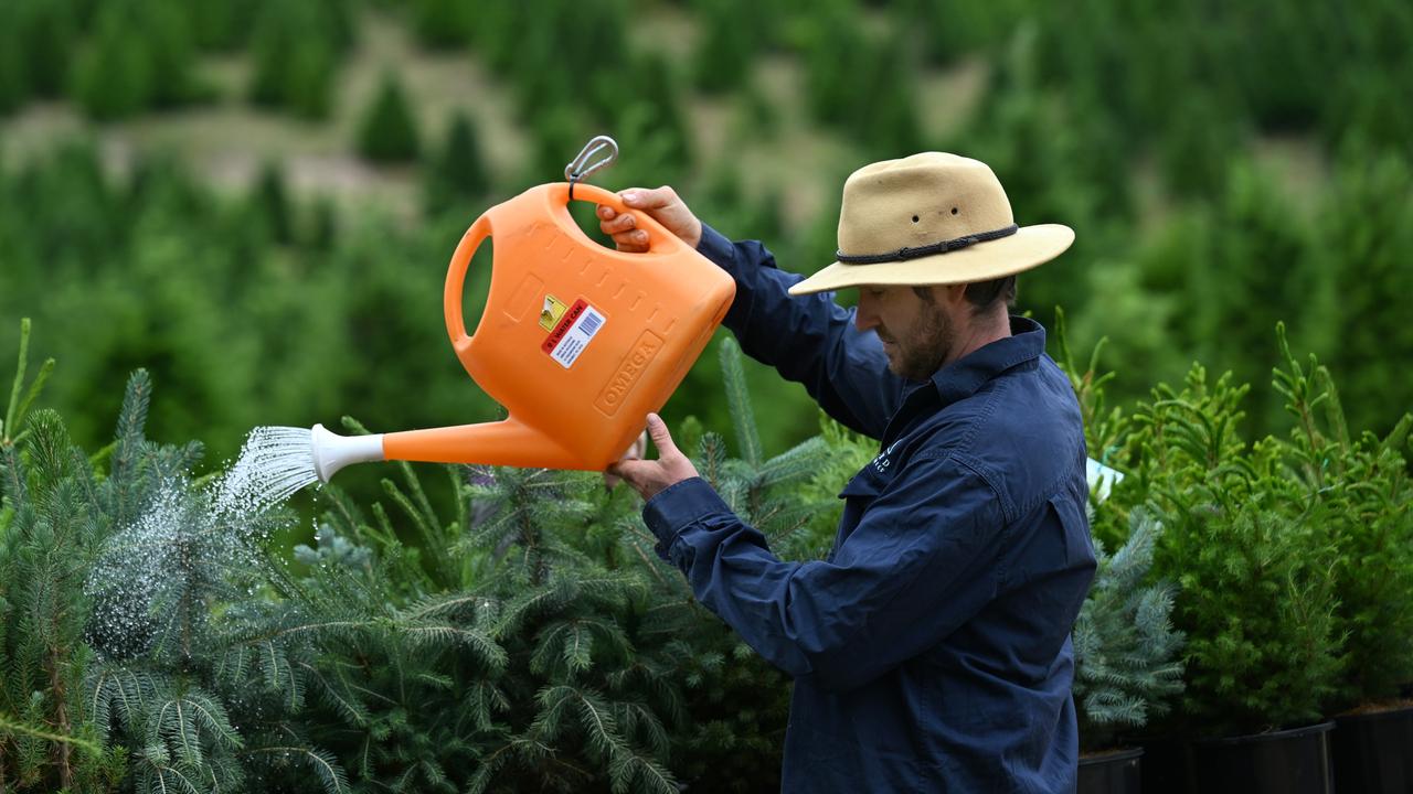 Lawrence Ranson waters some potted plants