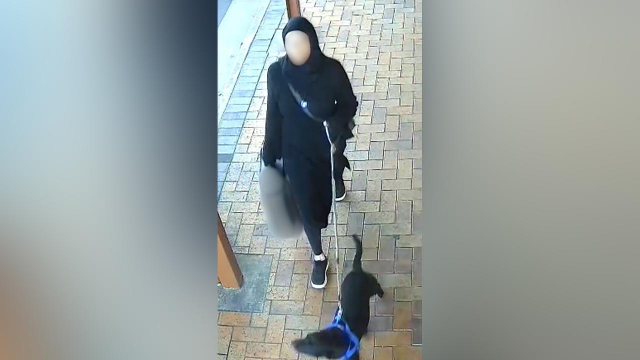 CCTV image (file)