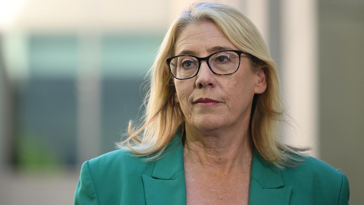 WA Treasurer Rita Saffioti (file image)