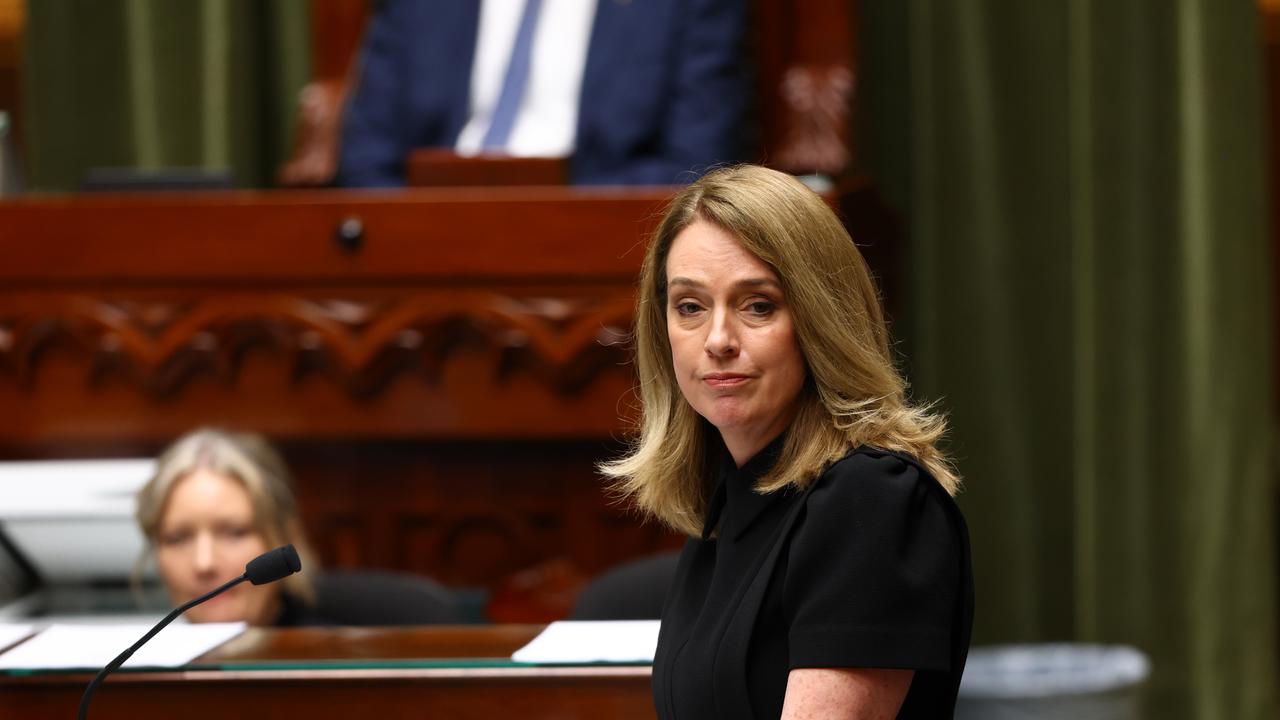 NSW Opposition Leader Kellie Sloane
