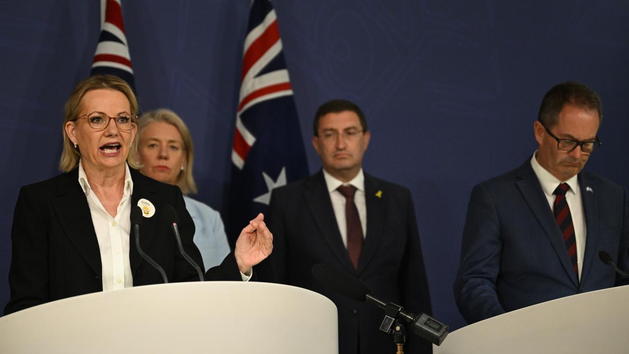 Opposition Leader Sussan Ley