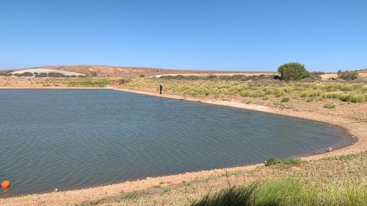 Trisha Graf's abandoned car was found near Blue Dam